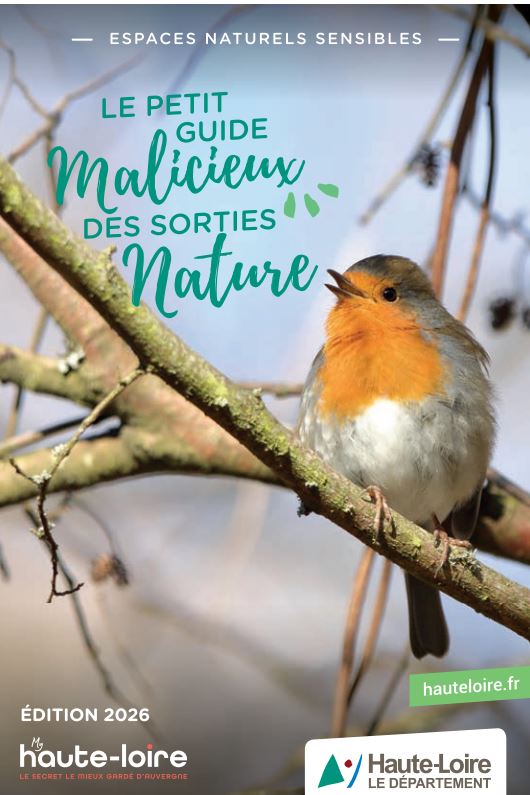 Sortie nature "Flore et papillons du Mézenc, le jour et la nuit"