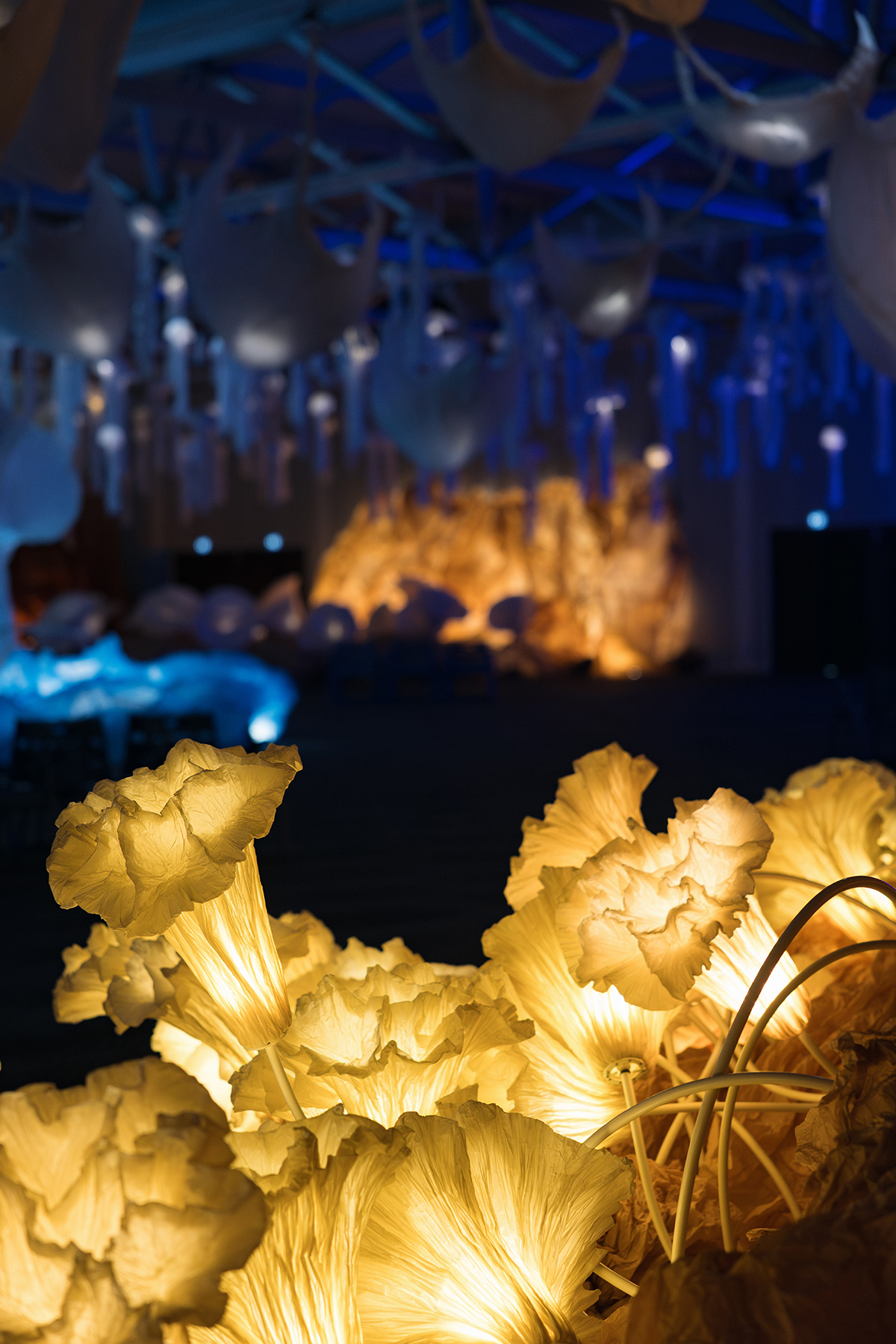 EXPOSITION IMMERSIVE « LA LAGUNE » PAR L'ARTISTE JUNIOR FRITZ JACQUET