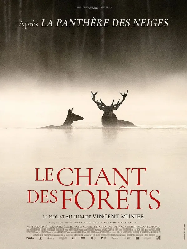 Privas Photo Festival - Projection cinéma du film "Le chant des forêts"