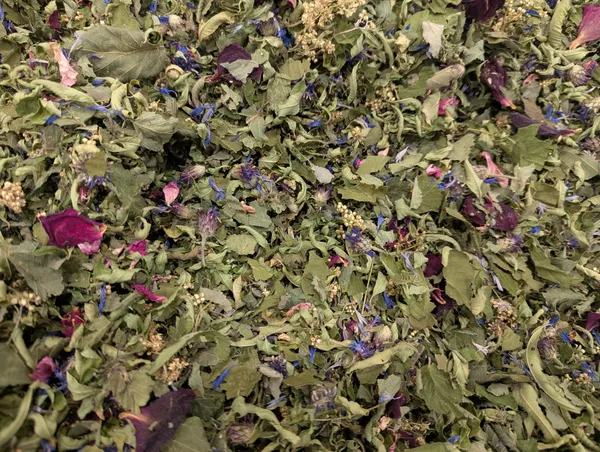 Atelier "secrets de plantes à tisanes" - L'Automnal gourmand / Fête de la Science