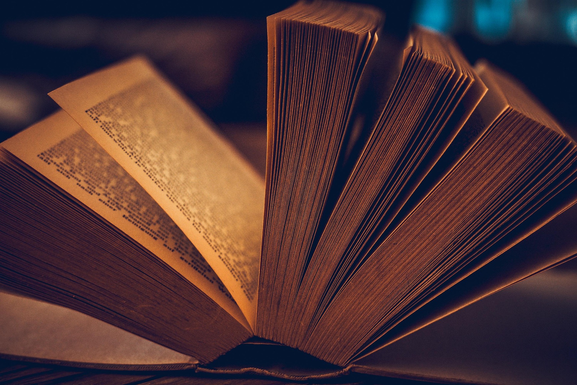 Les 24h du livre