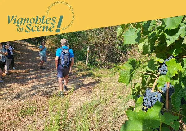 Rando wine au Domaine Grenier