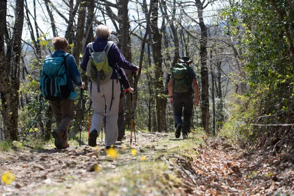 Les Rendez-vous Sport & Nature : Randonnée