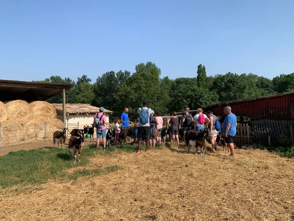 Visite de la chèvrerie Chez Paul et Pauline
